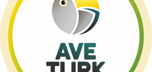 Aveturk - турецкие сериалы на русском